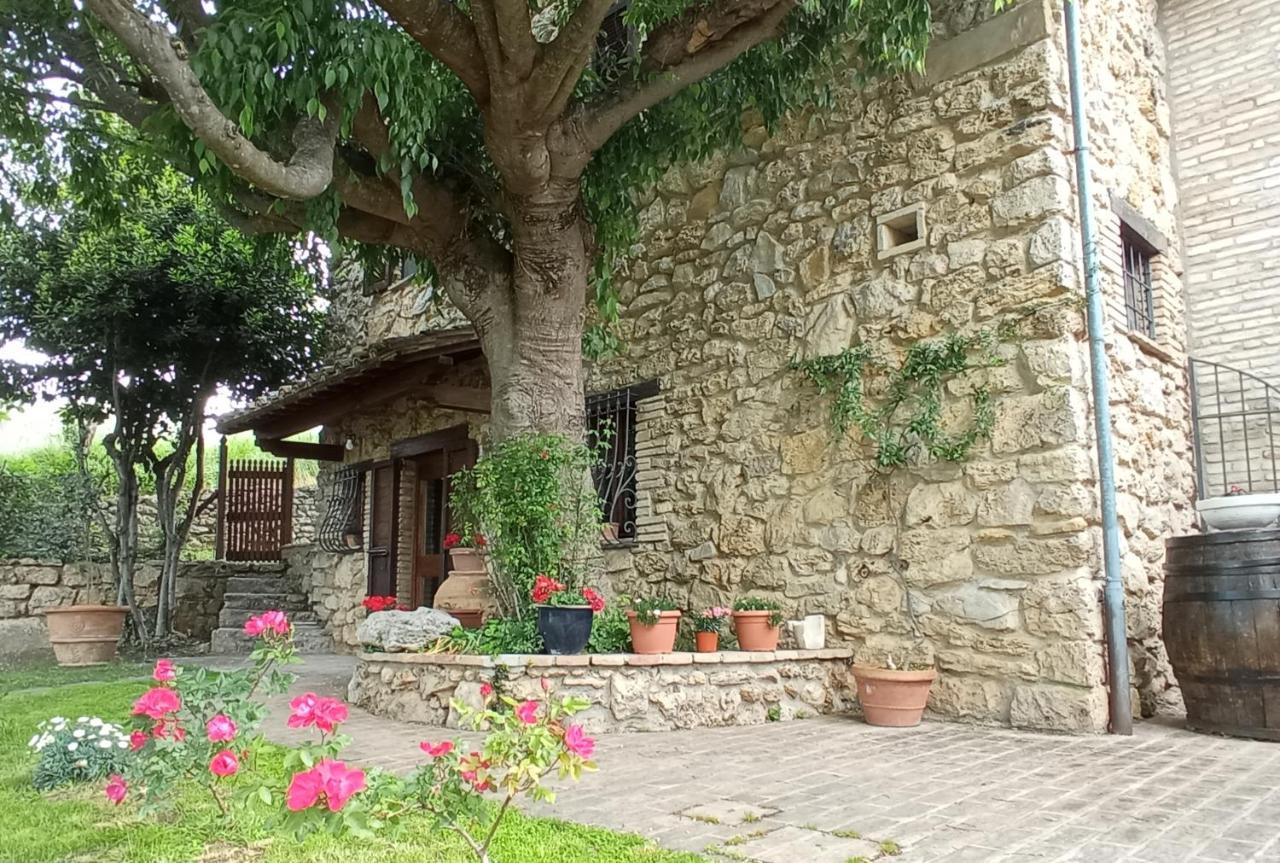All'Ombra Di San Damiano Assisi Exterior photo