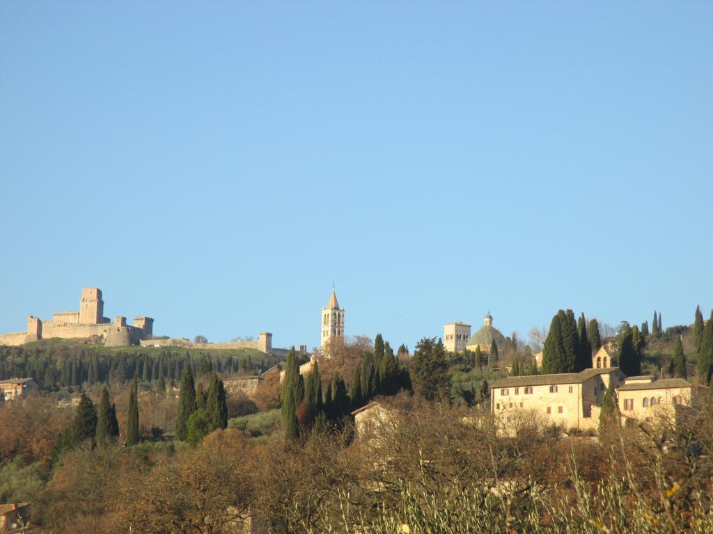 All'Ombra Di San Damiano Assisi Exterior photo